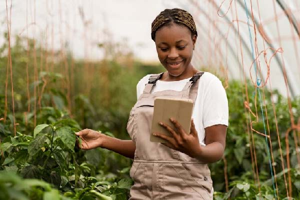 banner for farm page specialized knowledges of farm properties